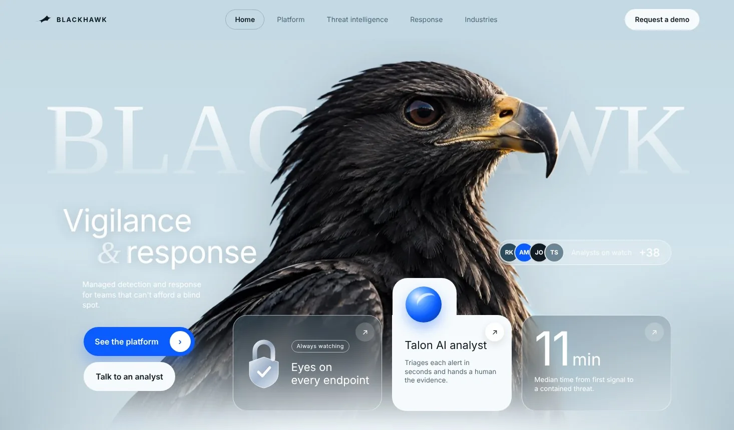 Blackhawk Cybersecurity concept homepage